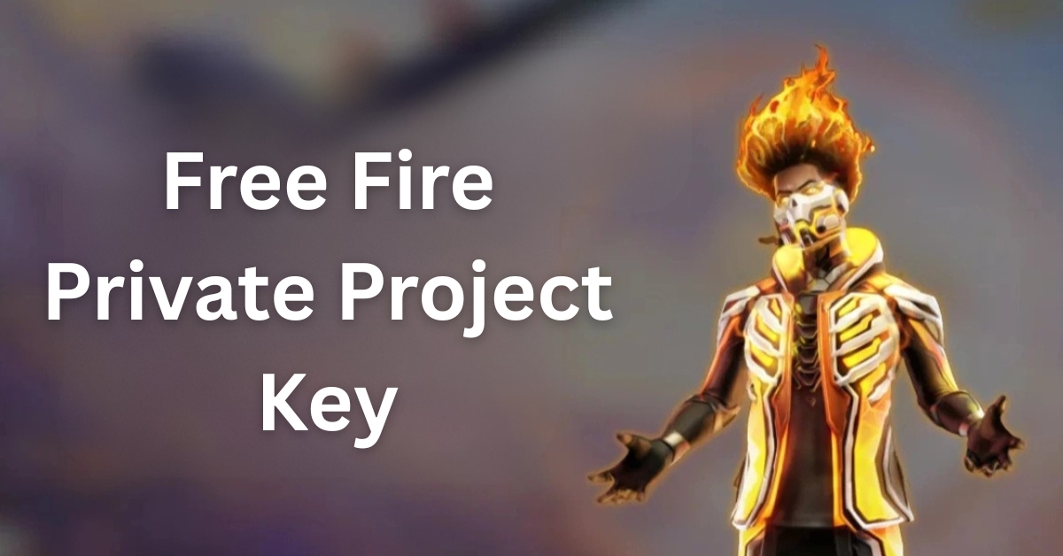 Free Fire Private Project Key Reality Check